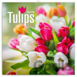 Tulips 2019