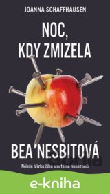Noc, kdy zmizela Bea Nesbitová