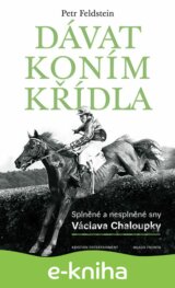 Dávat koním křídla