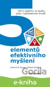 5 elementů efektivního myšlení