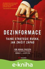 Dezinformace