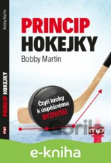 Princip hokejky