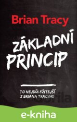 Základní princip