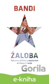 Žaloba