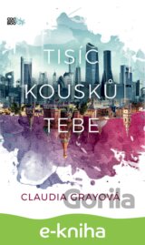 Tisíc kousků tebe