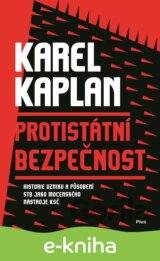 Protistátní bezpečnost