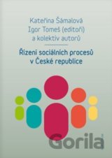 Řízení sociálních procesů v České republice