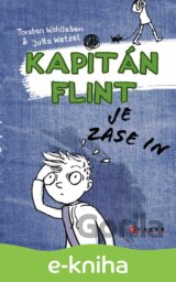 Kapitán Flint je zase in