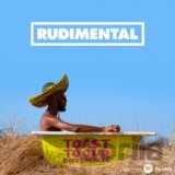 Rudimental: Toast To Our Differences - LP