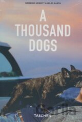 Thousand Dogs
