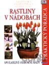 Rastliny v nádobách