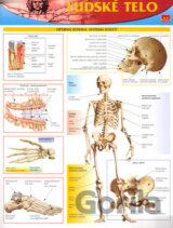 Ľudské telo (karta)