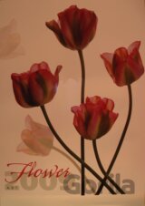 Flower art 2009