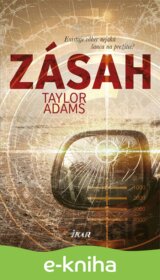 Zásah