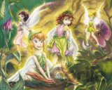 In the Secret Garden