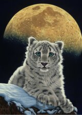 Schimmel: Moon Leopard III