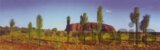 Desert Oaks, Uluru Sunset