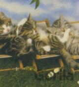 Deck Chair Kittens