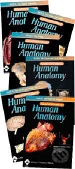 Acland´s DVD Atlas of Human Anatomy - Set of 6