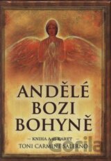 Andělé bozi bohyně (kniha + 45 karet)