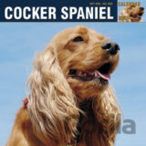 Cocker Spaniel 2009