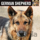 German Shepherd 2009