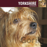 Yorkshire Terrier 2009