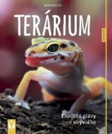 Terárium – exotické plazy v obývačke