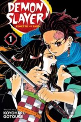 Demon Slayer: Kimetsu no Yaiba (Volume 1)