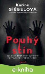 Pouhý stín