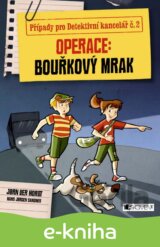 Případy pro Detektivní kancelář č. 2: Operace Bouřkový mrak
