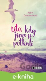 Léto, kdy jsme se potkali