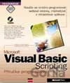 Microsoft Visual Basic Scripting Edition