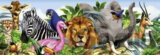 Animal Panorama