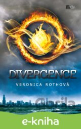 Divergence