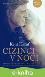 Cizinci v noci