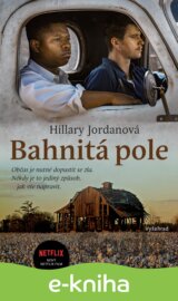 Bahnitá pole