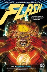 The Flash (Volume 4)