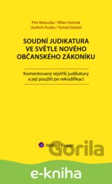 Soudní judikatura ve světle nového občanského zákoníku