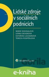 Lidské zdroje v sociálních podnicích