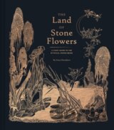 The Land of Stone Flowers