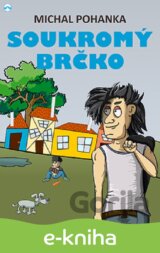 Soukromý brčko