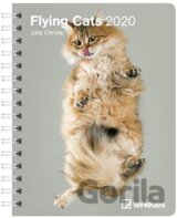 Flying Cats 2020