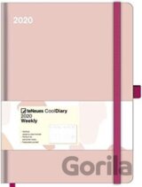 Antique Pink Cool Diary 2020