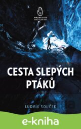 Cesta slepých ptáků