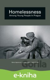 Homelessness among Young People in Prague