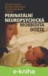 Perinatální neuropsychická morbidita dítěte