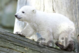 Knut underway
