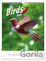 Nástěnný kalendář Birds 2020