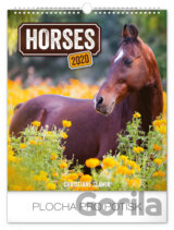 Nástěnný kalendář Horses 2020